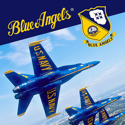 Blue Angels: Aerobatic Flight 