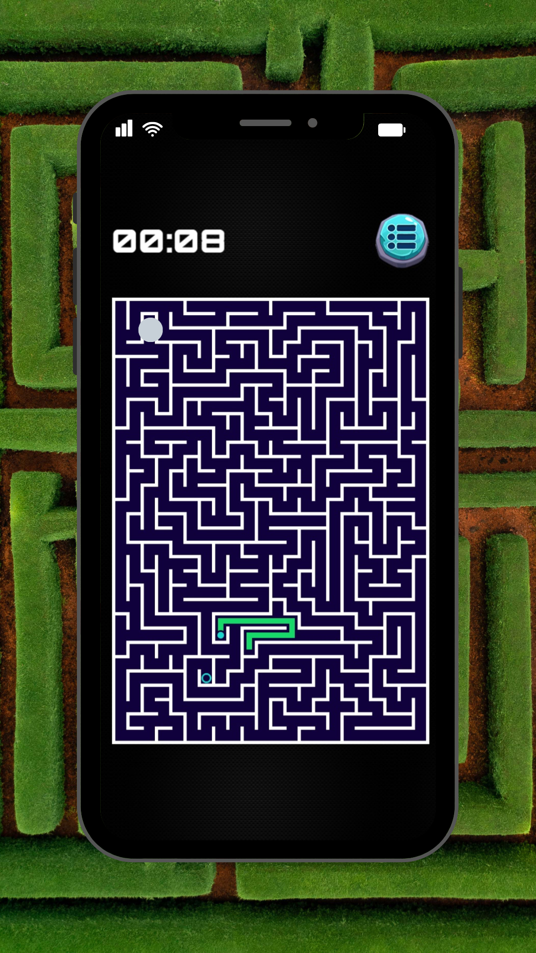 Maze Pro android iOS-TapTap