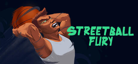 Banner of Streetball Fury 