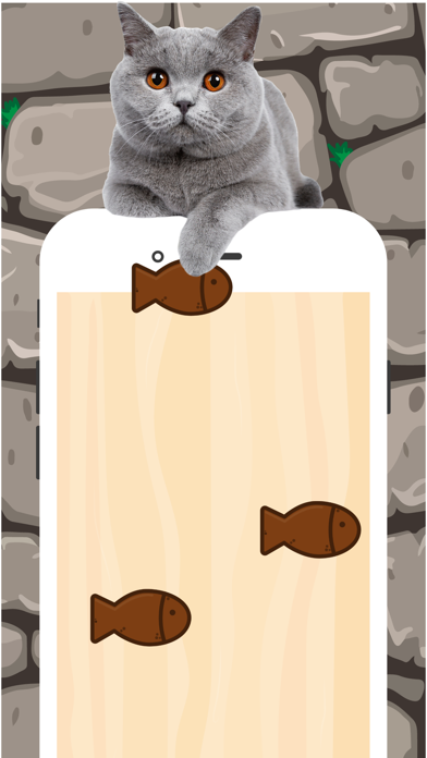 meow cat game : apps for cats for Android/iOS - TapTap