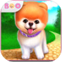 Boo - The World's Cutest Dog
