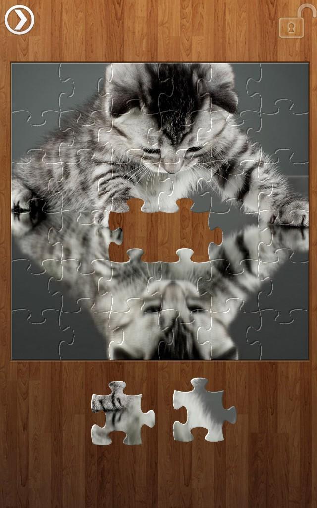 Reflection Jigsaw Puzzles Game Screenshot