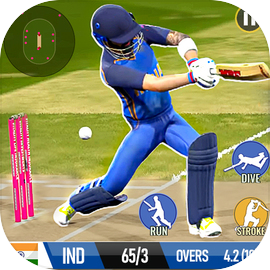 Cricket Game: Bat Ball Game 3D