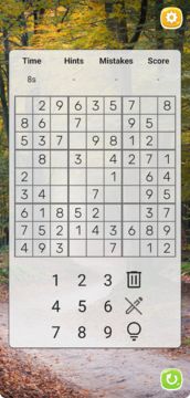 Sudoku Game Screenshot