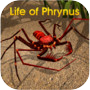 Иконка Life of Phrynus - Whip Spider