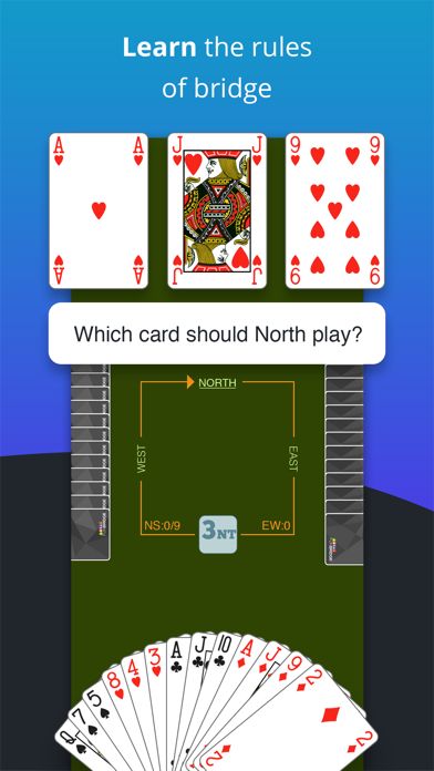 Fun Bridge screenshot game