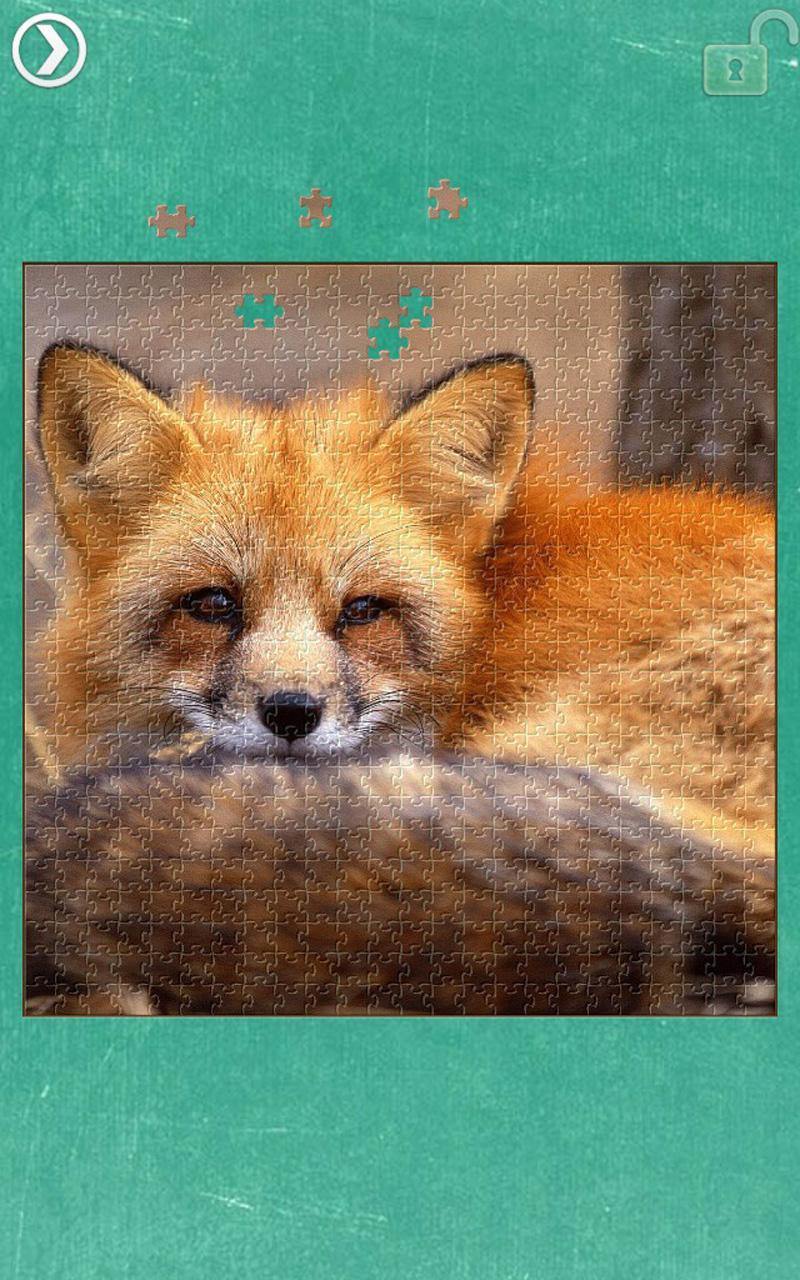 Fox Jigsaw Puzzles Game Screenshot