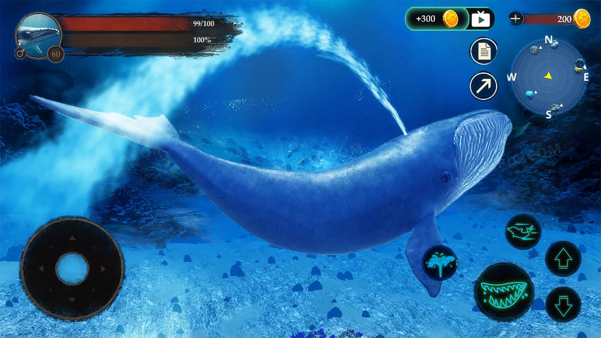 Screenshot of The Blue Whale