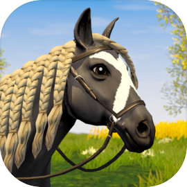 Star Equestrian - Horse Ranch