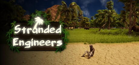 Banner of Stranded Engineers 