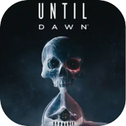 Until Dawn™