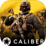 Caliber