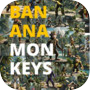 Banana Monkeys