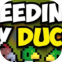 Icon of Feeding My Ducks