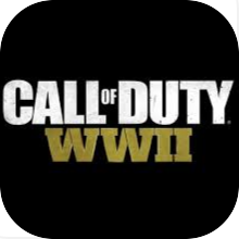 Call of Duty®: WWII