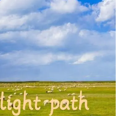 light path Latest Version for Android/iOS APK - TapTap