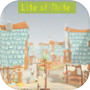 Icon of Life of Thife