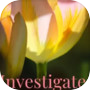 Icon of Investigate