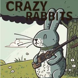 Crazy Rabbits Latest Version for Android/iOS APK - TapTap