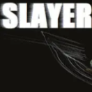 SLAYER - Survive & Thrive