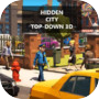 Hidden City Top-Down 3D