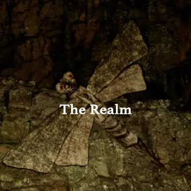 The Realm Latest Version for Android/iOS - TapTap