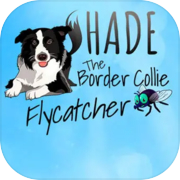 SHADE Flycatcher Border Collie