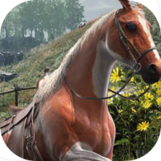 Horse Shelter 2022 - Prologue