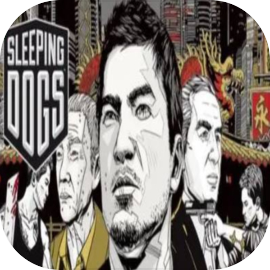 Sleeping Dogs