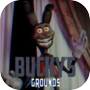 Bucky's Grounds