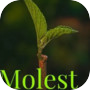 Icon of Molest
