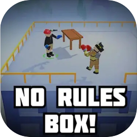 No Rules Box!