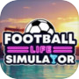 Football Life Simulator