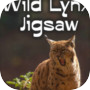 Icon of Wild Lynx Jigsaw