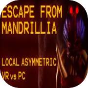 Escape From Mandrilia: Realidad virtual asimétrica local frente a PC