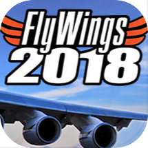 FlyWings 2018 Flight Simulator