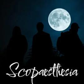 Scopaesthesia Scopaesthesia Latest Version for Android/iOS APK - TapTap
