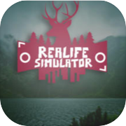 Realife Simulator