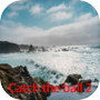 Icon of Catch the ball 2