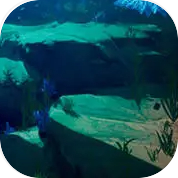 Breath Of The Depth
