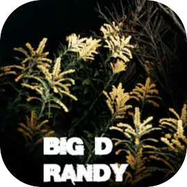 Big D Randy