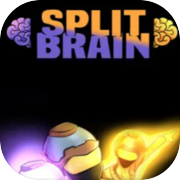 Split Brain