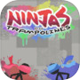 Ninjas on Trampolines