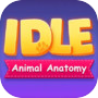 IDLE Animal Anatomy
