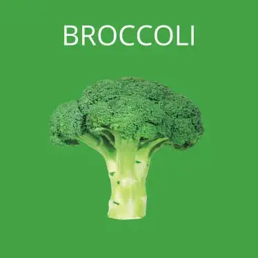 Broccoli Latest Version for Android/iOS - TapTap