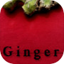 Icon of Ginger