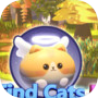 Icon of Find Cats 5 天使猫