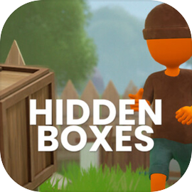 Hidden Boxes