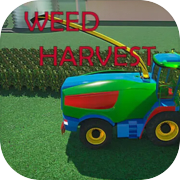 Weed Harvest