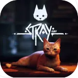 Stray